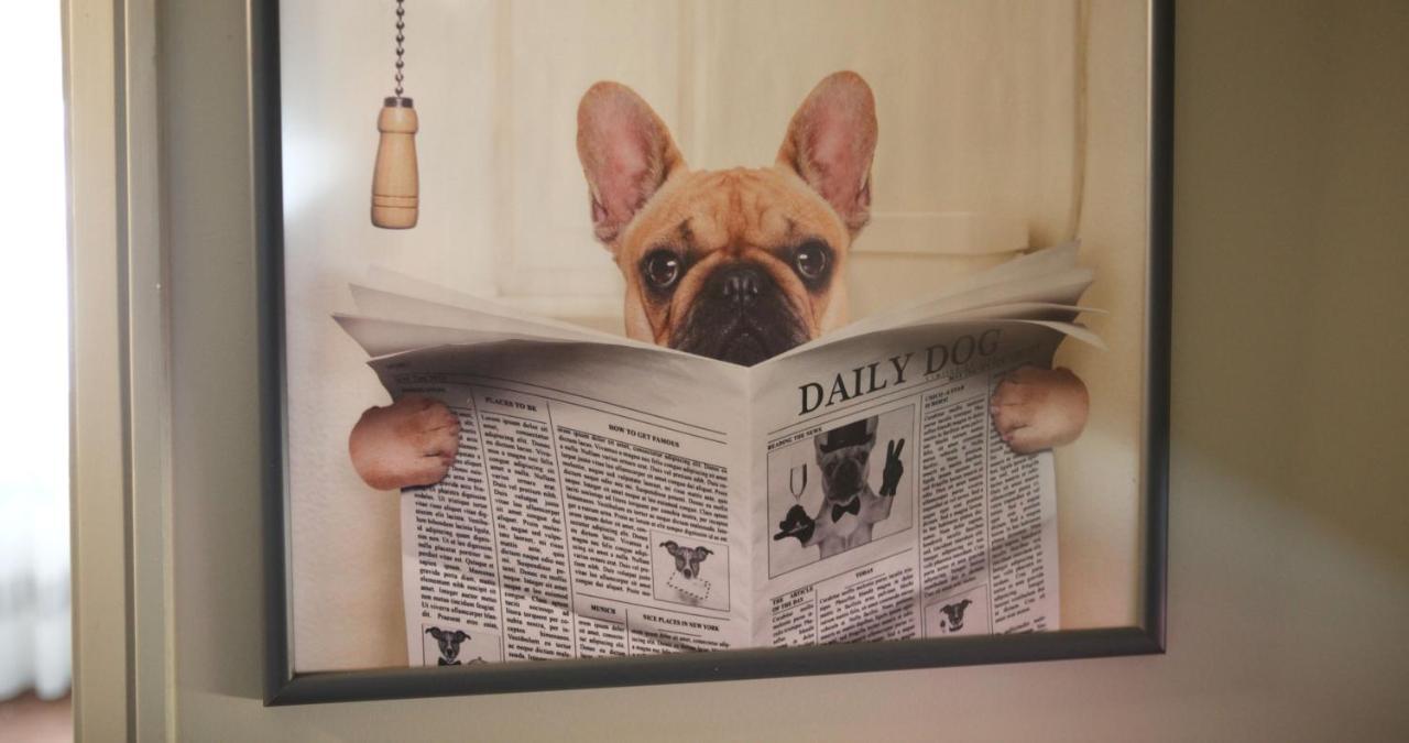 فيلا Woof & Sun إسموريز المظهر الخارجي الصورة