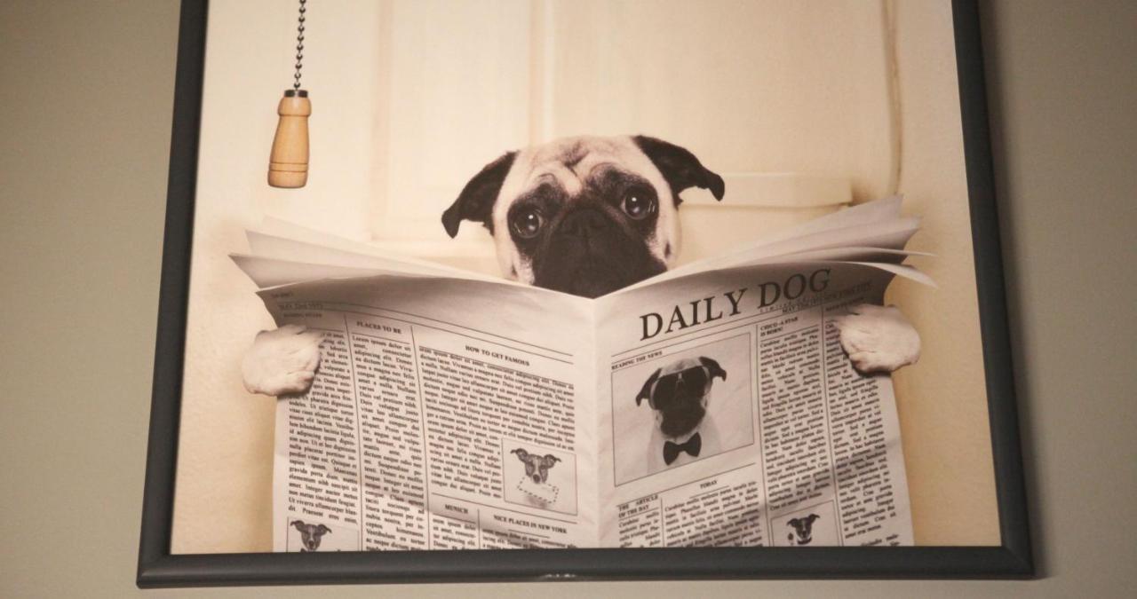 فيلا Woof & Sun إسموريز المظهر الخارجي الصورة